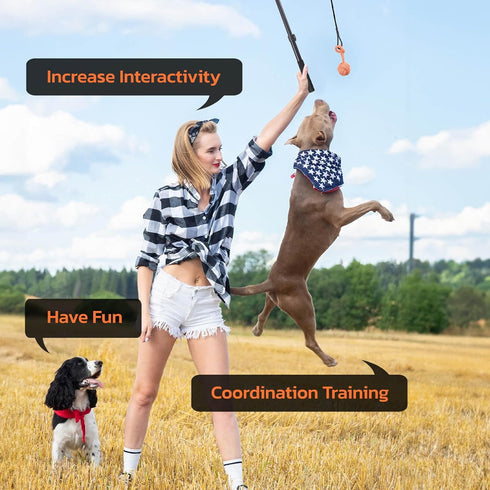 LOOBANI Flirt Pole for Dogs, 48.8in Extendable Teaser Wand with Detachable Interactive Toys