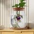 POPETPOP Desktop Fish Bowl Clear Glass Small Fish Tank with Wood Lid and Bamboo Stand Glass Terrarium Container Hydroponic Planter Vase for Home Office Decor