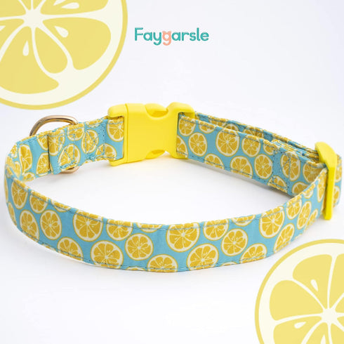 Faygarsle Cute Dog Collar with Lemon Design, Soft Fancy Pet Collar for Small Medium Large Dogs, Ideal Yellow Green M