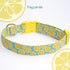 Faygarsle Cute Dog Collar for Girls, Soft Fancy Pet Collar with Lemon Design for Small Medium Large Dogs (Yellow Green,