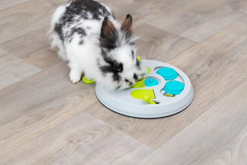 TRIXIE Hide N Slide Rabbit Activity - Small Animal Interactive Toy for Mental Stimulation, Enrichment, Hide and Seek