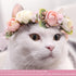 Pet Flower Collar with Adjustable Ribbon, Small Dog Wedding Attire Wreath Bow, Pink Floral Collar for Small Dogs, Cats,