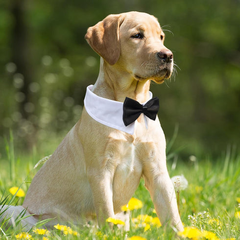 KOOLMOX Dog Bow Tie, Handcrafted Black Dog Bowtie with 21'' Adjustable Collar for Large Dogs Wedding Attire