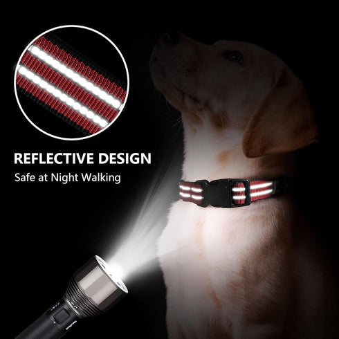 Martingale Dog Collars: Reflective Nylon with Quick Release Buckle, Adjustable No Slip Training Collar (X-Small, Red)