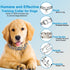 Prong Pinch Collar for Dogs, Adjustable Training Collar with Quick Release Buckle for Small Medium Large Dogs (M/L,