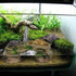 PINVNBY Turtle Basking Platform, Tortoise Resin Dock, Floating Ledge Aquarium Decoration for Reptiles