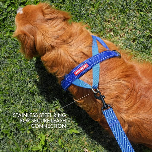 EzyDog Premium Quick Fit Adjustable Dog Harness Vest - Perfect for Training and Walking, Padded for Comfort (X-Small,