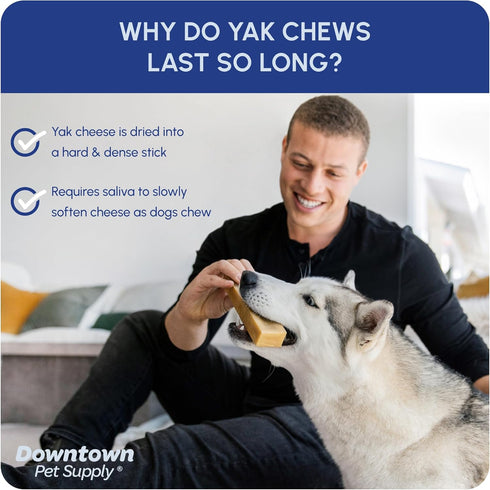 Downtown Pet Supply Yak Cheese Himalayan Dog Chews - Regular Nutrient-Rich Chews for Small to Medium Dogs - 0.5 LB