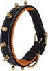Genuine Leather Spike Dog Collar, 1" Wide, Full Grain Heavy Duty, Comfortable Inner Padded for Small Breeds (S, Fit