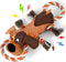 Squeaky Dog Toys, Tug of War Toy for Large Dogs, Plush Puppy Toys with Pull Rope, Interactive Toys for Small, Medium,