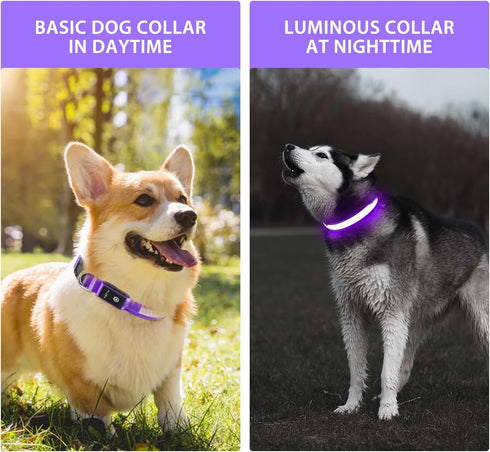 PcEoTllar Light Up Dog Collar for Night Walking - LED Rechargeable Color Changing, Glow in The Dark Waterproof Collars