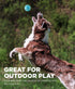 Outward Hound Squeaker Ballz Fetch Dog Toy, Medium Size, 6-Pack for Interactive Play