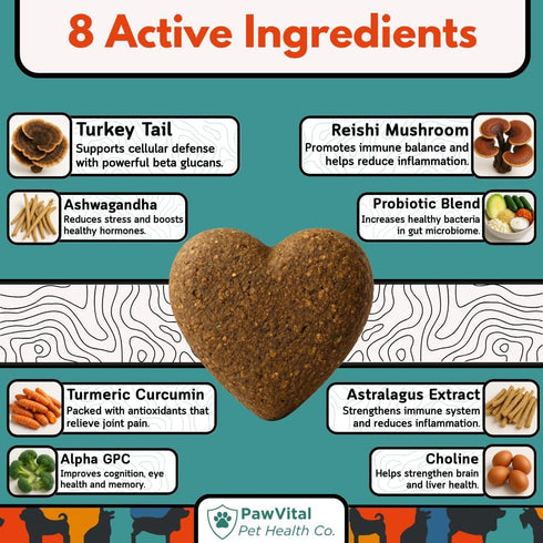 Immune 100% 90 Turkey Tail Mushroom for Dogs Gut Health & Support Supplement Natural Mushroom Blend with Reishi