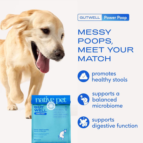60 Native Pet GutWell Power Poop - Digestive Support & Fiber for Dogs - Promotes Healthy Stools, Supports Balanced