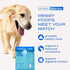 60 Native Pet GutWell Power Poop - Digestive Support & Fiber for Dogs - Promotes Healthy Stools, Supports Balanced