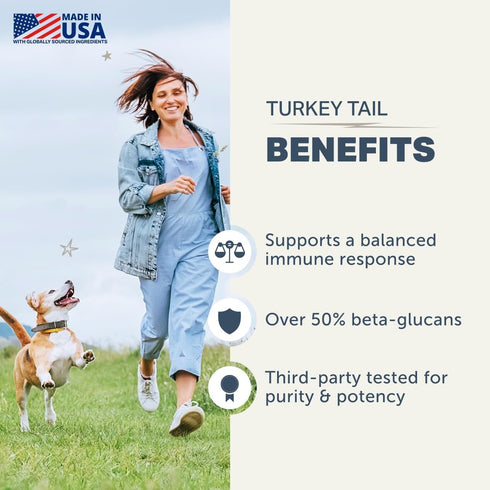 50% Turkey Tail Mushroom for Dogs - Whole, Organic Mushroom Extract - Over Beta-Glucan - Third Party Tested, Made