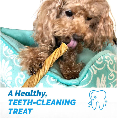 Beef Tripe Sticks for Dogs, 6" - 25 Count, All Natural Dog Treats from Free Range, Grass Fed Beef