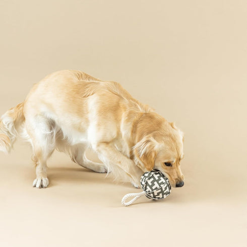 Fringe Studio "Pulling You in Odette Olive 3D Canvas Dog Toy with Tuggable Rope, PetShop Collection