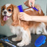 7-Piece Small Pet Grooming Kit with Brush, Nail Clippers, and Adjustable Strap for Rabbits, Hamsters, Guinea Pigs