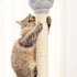 10" Cat Scratching Replacement Posts, 2 Pack Sisal Spare Scratcher Refill for Cats Cube Tower with M8 Screws