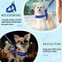 Lukovee No Pull Dog Harness and Leash Set, Soft Padded Adjustable Reflective Vest for Small Dogs (S, Blue)
