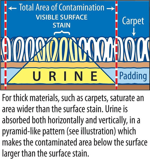 Pet Urine Odor Eliminator and Remover for Cat and Dog Urine, 128 Oz (1 Gallon) - Oxidizer Based Pee Cleaner for Carpets