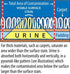 Pet Urine Odor Eliminator and Remover for Cat and Dog Urine, 128 Oz (1 Gallon) - Oxidizer Based Pee Cleaner for Carpets