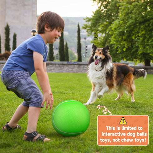 Giant Large Tennis Ball for Dogs: 9.5" Big Ball for Outdoor Play, Green Dog Tennis Ball
