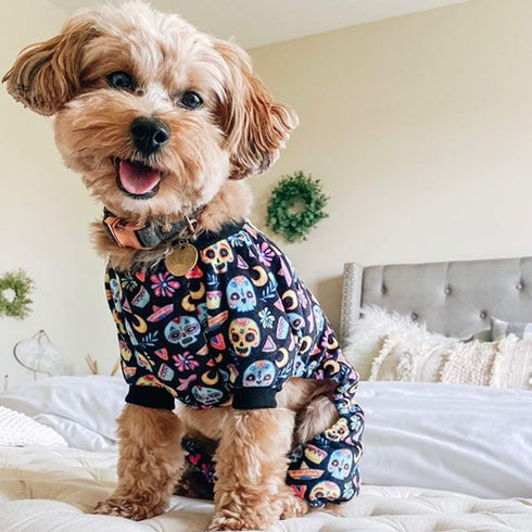 CuteBone Small Dogs Outfit - Soft Puppy Onesies Pjs Dog Pajamas Pet Coat for All Seasons (P73S)