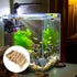 balacoo Natural Driftwood Branches for Aquarium Fish Tank Decoration