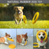 Dog Flying Disc, Indestructible Floating Ring Toys for Small Chewers, Durable Outdoor & Indoor Puppy Toy
