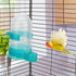 Hypeety Bird Automatic Water Bottle, Parrot Drinking Water Feeder Bowl for Parakeet, Hamster, Mice, Rat, Gerbils
