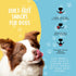 hotspot pets Beef Tendon Chews for Dogs, 8 Inch All Natural, Grass-Fed Premium USDA Gambrol Beef Tendon Stick