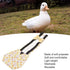 Pet Chicken Diaper,Reusable Washable Duckling Nappy Goose Diaper Duck Diapers Pet Physiological Pants with Bow Tie