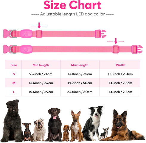 Light Up Dog Collars - Rechargeable Reflective LED Glow Dark for Small Medium Large Dogs, Adjustable Pet Lights for