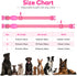 Light Up Dog Collars - Rechargeable Reflective LED Glow Dark for Small Medium Large Dogs, Adjustable Pet Lights for