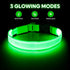 Illumifun Light Up Dog Collar - USB Rechargeable LED Glow in The Dark, Adjustable Pet Safety Lights, Green