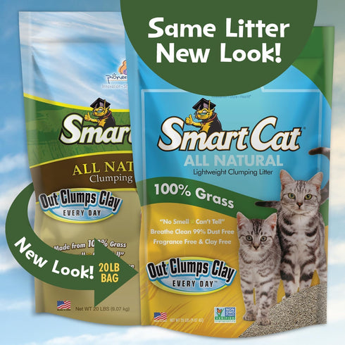 All Natural Clumping Cat Litter, 10 Pound (160oz 1 Pack), Alternative to Clay and Pellet Litter
