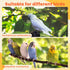 KCMOSGI 4 Pcs Bird Diaper, Parrot Diaper, Reusable Bird Clothes with Adjustable Straps & Waterproof Inner, Pet Bird