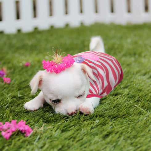 6 Pieces Dog Shirt Puppy Sweatshirt - Sleeveless Vest for Small to Medium Dogs, Cute Patterns, S Size