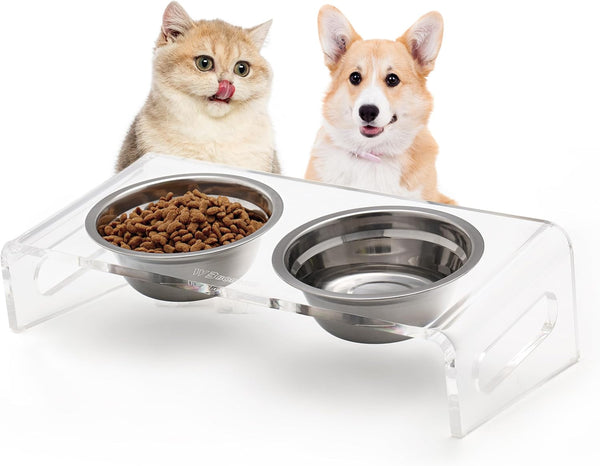 Tilted Raised Elevated Food and Water Bowls Stand for Cat or Small Dogs, Clear Acrylic Stainless Steel Dishes Holder