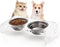 Tilted Raised Elevated Food and Water Bowls Stand for Cat or Small Dogs, Clear Acrylic Stainless Steel Dishes Holder