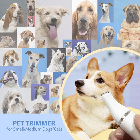 4 1 in Dog Grooming Kit - Dog Clippers, Rechargeable, Low Noise - Multi-Functional for Hair on Pets Toes Hair Repair on