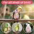 Fiyooau 7 Pcs Bird Diaper - Reusable Parrot Diaper with Waterproof Inner - Cute Chicken Pants Pet Diapers Nappy