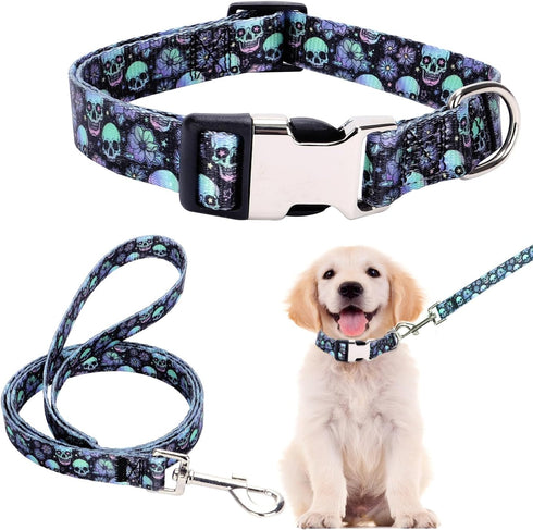 Dog Collar and Leash Set for Daily Outdoor Walking, Running, Training, Designed for Large Dogs & Cats (L)