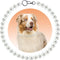 KUDES Chunky Pearl Dog Necklace, Strong Stainless Steel Wire Rope, Elegant Classic Big Pearl Collar for Medium Large