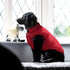 ASENKU Dog Winter Coat - Waterproof Windproof Dog Jacket, Warm Pet Vest for Cold Weather (L, Red)