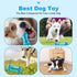 Dog Chew Toy for Teething Chewers,Tough Durable Natural Rubber Bone with Toothbrush,Indestructible for Aggressive