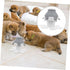 Multi-Puppy Feeding Station - Silicone Dog Feeder with Nipple Pacifiers