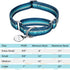 Martingale Dog Collar for Fashion Print Pattern and No Pull Pet Collar, Silky Soft Safety Training Collars for Medium and Large Dogs (Medium, Turquoise)